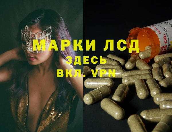 ALPHA PVP Иннополис