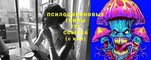 jwh Инсар