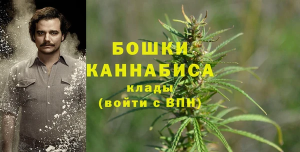 ALPHA PVP Иннополис