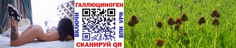 Купить закладки  Николаевск  Галлюциногенные грибы Psilocybe 